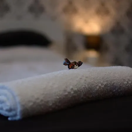 Rose Gold Panzio Bed & Breakfast *